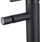 Смеситель для биде Allen Brau Priority черный матовый 5.31004-31 - 0