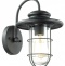 Уличный настенный светильник Odeon Light Nature Helm 4171/1W - 0