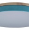 Накладной светильник Loft it Axel 10001/36 Blue - 0