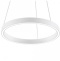 Подвесной светильник Maytoni Rim MOD058PL-L22WK - 0
