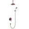 Swedbe Terracotta Art Семейный душ со смесителем встраиваемый 2516 - 0