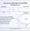 Накладная раковина Gid  57 см  N9050 - 2