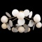 Потолочная люстра Loft it Matisse 10008/8C White - 1