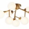Потолочная люстра Maytoni Dallas MOD545CL-12BS - 0