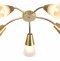 Потолочная люстра Escada Aquilegia 1100/5P Gold - 0