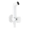Гигиенический душ Hansgrohe Bidette S белый матовый 29230700 - 0