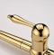 Смеситель для кухни Paulmark Retro золото Re213226-G - 8