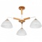 Потолочная люстра Arte Lamp Matthew A5032PL-3BR - 0