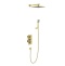 Душевая система встроенная с термостатом Timo Tetra-thermo SX-0179/17SM золото матовое - 0