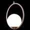 Подвесной светильник Loft IT Glob LOFT2600-B - 4
