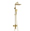 Душевая система WasserKraft 25 золото брашированное A155.198.201.BG - 0