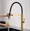 Смеситель для кухни Paulmark Leader брашированное золото Le214101-BG - 4