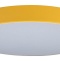 Накладной светильник Loft it Axel 1 10002/24 Yellow - 0