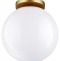 Накладной светильник Odeon Light Bosco 4248/1C - 0