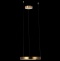 Подвесной светильник Loft it Ring 10013S - 6