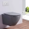 Унитаз подвесной Esbano Azalea с сиденьем микролифт, серый матовый  ESUPAZALGM - 1