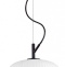 Подвесной светильник Odeon Light Pendant Roofi 4753/1 - 1