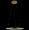 Подвесной светодиодный светильник Loft IT Ring 10014M - 5