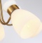 Потолочная люстра Ambrella Light TR TR3218 - 5