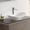 Раковина Villeroy & Boch My Nature 4110 60R1 alpin CeramicPlus 411060R1 - 3
