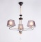 Подвесная люстра Ambrella Light TR TR4614 - 2