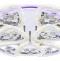 Потолочная люстра Ambrella Light FA FA2922 - 0