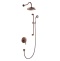 Swedbe Terracotta Art Семейный душ со смесителем встраиваемый 2515 - 0