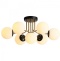 Потолочная люстра Aployt Ewka APL.906.17.07 - 0