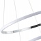 Подвесной светильник Zortes RINGOLIGHT ZRS.33322.63C - 2