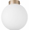 Накладной светильник Lightstar Globo 812023 - 0