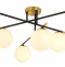 Потолочная люстра Arte Lamp Alcor A2224PL-6BK - 0