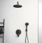 Душевая лейка Ideal Standard Rain черный матовый B9402XG - 3