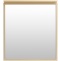 Зеркало Allen Brau Priority 70 с подсветкой латунь матовый 1.31014.03 - 1