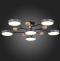 Потолочная люстра EVOLUCE Faema SLE6006-702-06 - 5