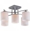 Потолочная люстра Omnilux Pisticci OML-55307-05 - 0