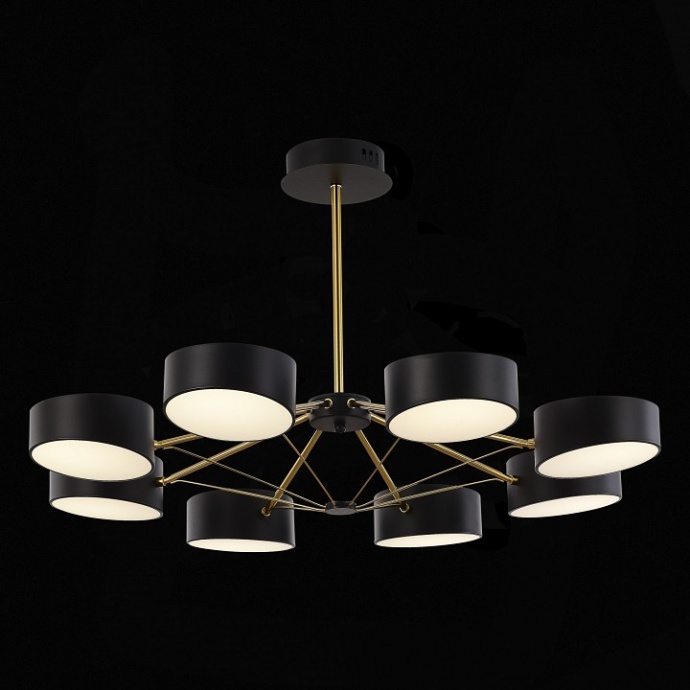 Люстра на штанге EVOLUCE Valle SLE6005-402-08 - 3