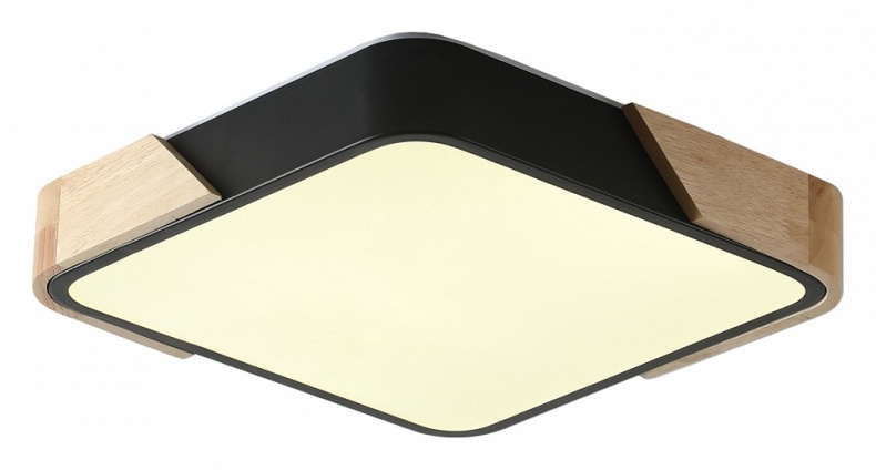 Накладной светильник Zortes ALBERRO ZRS.01281.24 - 0