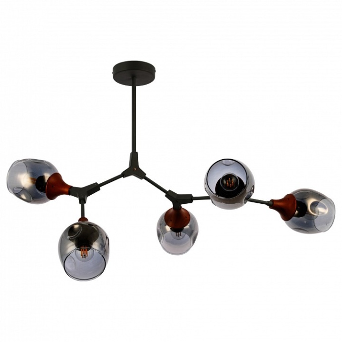 Люстра на штанге EVOLUCE Ciotolla SLE113402-05 - 0