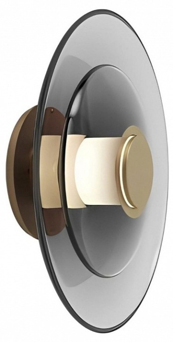 Накладной светильник Aployt Stefa APL.648.11.10 - 0