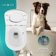 Унитаз подвесной Owl 1975 Wave TOWLT190801 - 8