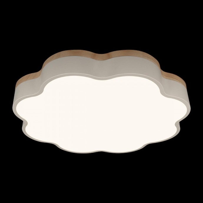 Накладной светильник Loft it Axel 10225/36 White - 4