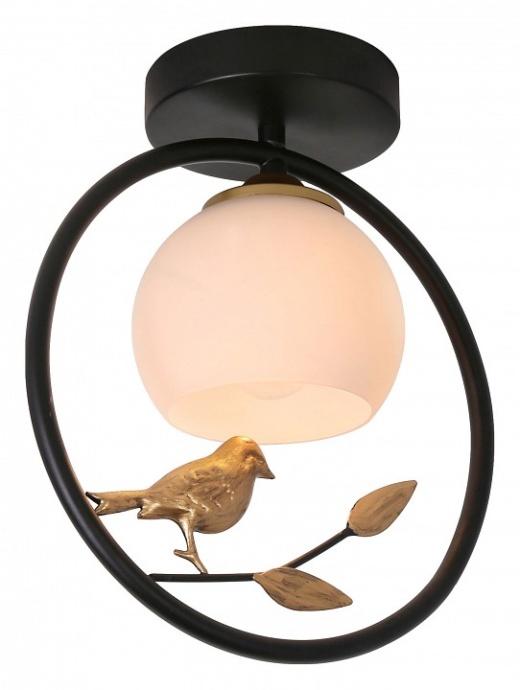Накладной светильник Escada Song 1113/1P Black - 0