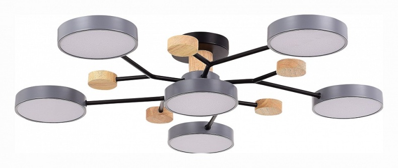 Потолочная люстра EVOLUCE Faema SLE6006-702-06 - 0