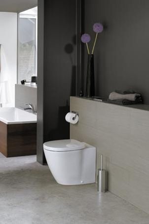 Чаша для приставного унитаза Ideal Standard Connect белый, без сиденья  E803401 - 3