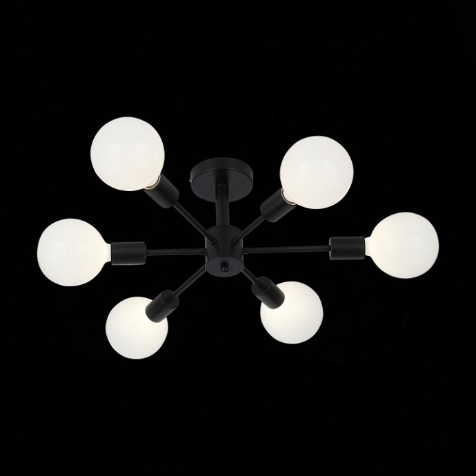 Люстра на штанге EVOLUCE Ano SL419.402.06 - 5