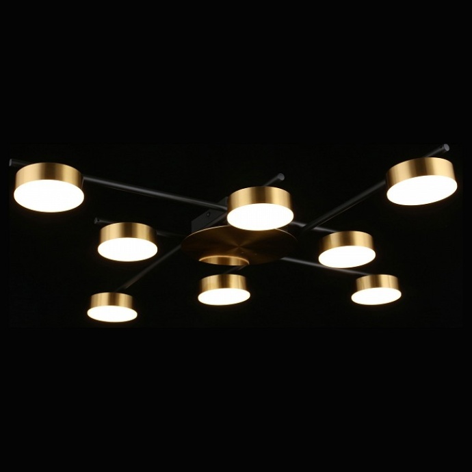 Потолочная люстра Aployt Delayn APL.042.07.56 - 3