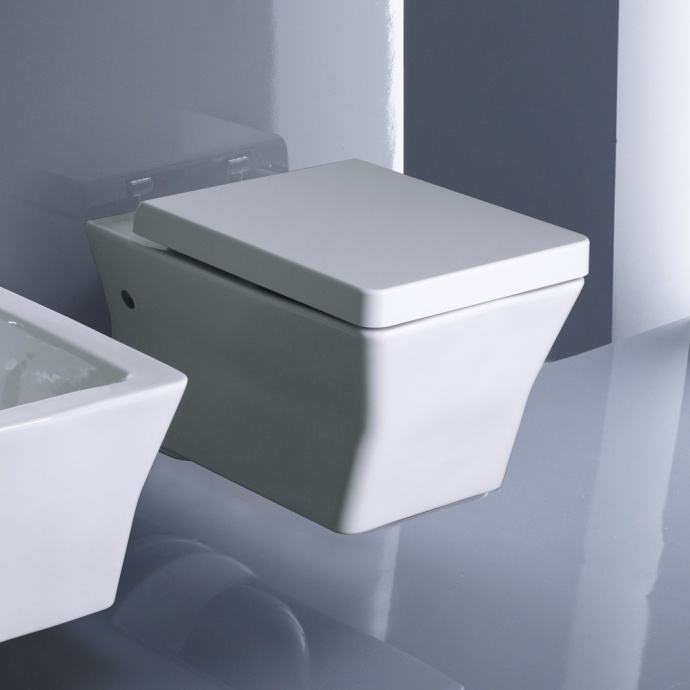 Унитаз подвесной Jacob Delafon Reve E4811 E4811-00 - 9