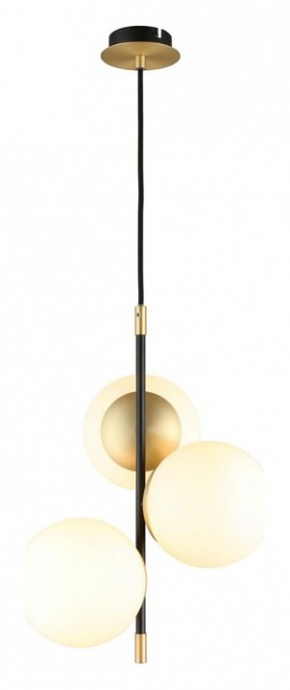 Подвесной светильник Aployt Kristina APL.313.06.03 - 3