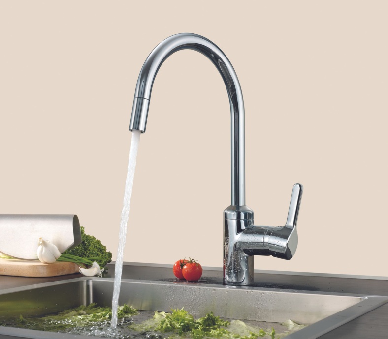 Смеситель для кухонной мойки Kludi  хром  428030578 - 1