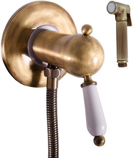 Гигиенический душ Rav Slezak Labe Mosaz L547SM со смесителем - 0